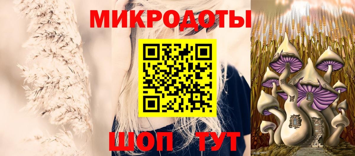Псилоцибиновые грибы прущие грибы Йошкар-Ола