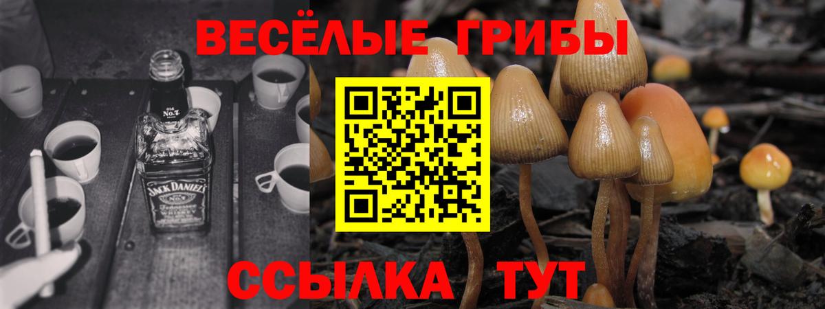 Галлюциногенные грибы мухоморы  Вход с VPN  Йошкар-Ола 